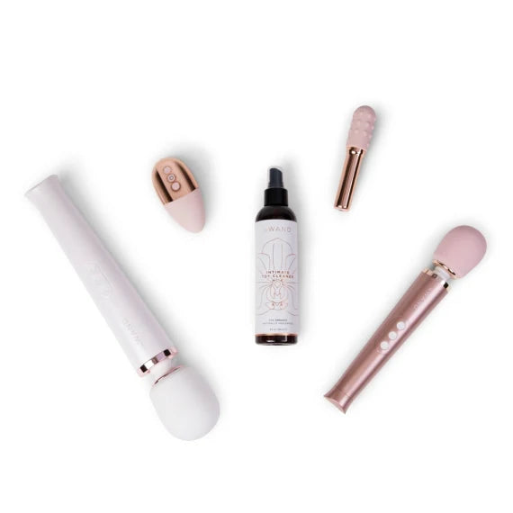 Le Wand Toy Cleaner