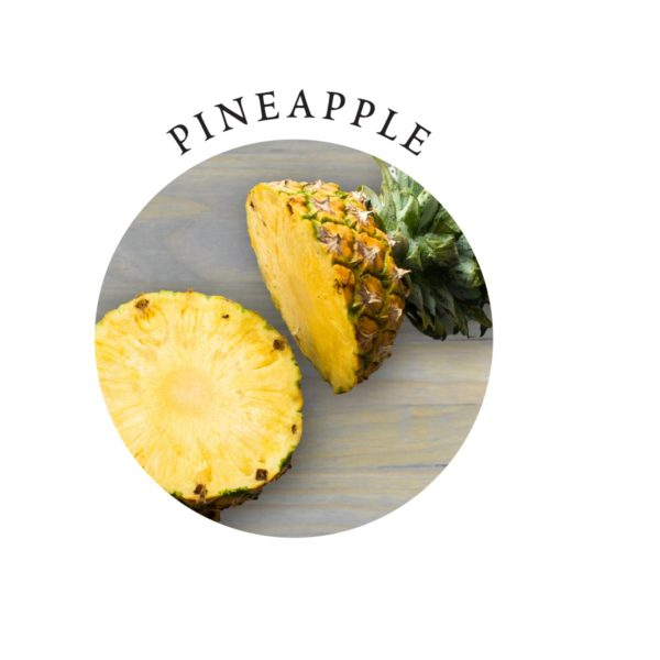 Earthly Body Tasty Travel Gift Set - Pineapple