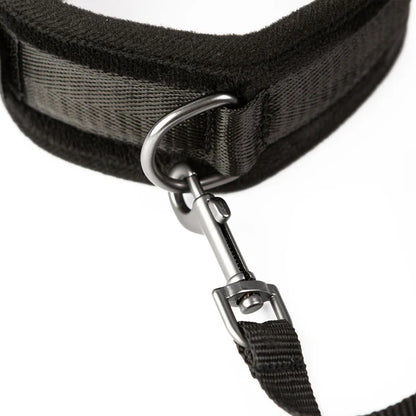 SEI MIO Take the Lead Padded Neck Collar and Leash