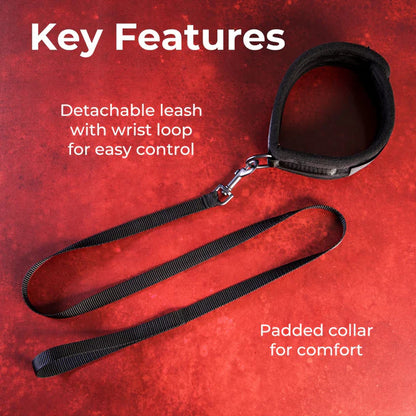SEI MIO Take the Lead Padded Neck Collar and Leash