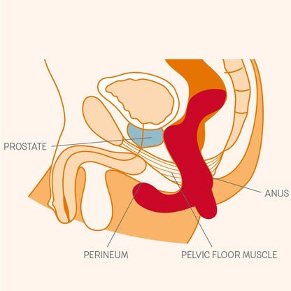 Fun Factory Duke Prostate Massager