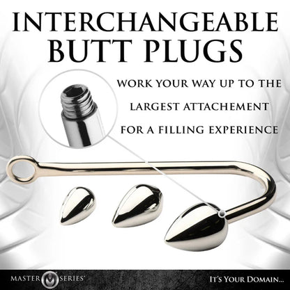 Master Series Anal Hook Trainer Anal Hook w/ 3 Plugs